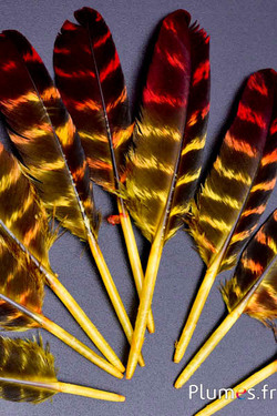 Adelaar (imitatie) - 10-15 cm - gestreept - geel-rood